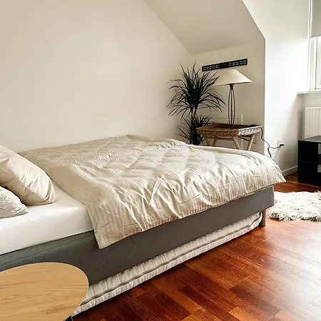 Deluxe On The Main Street With Free Parking & Late Checkout * Herning