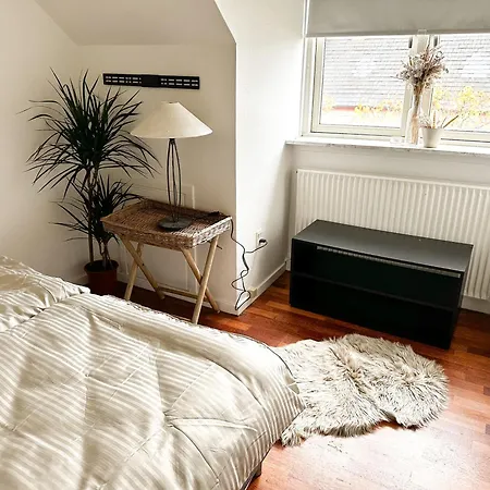 Deluxe On The Main Street With Free Parking & Late Checkout * Herning